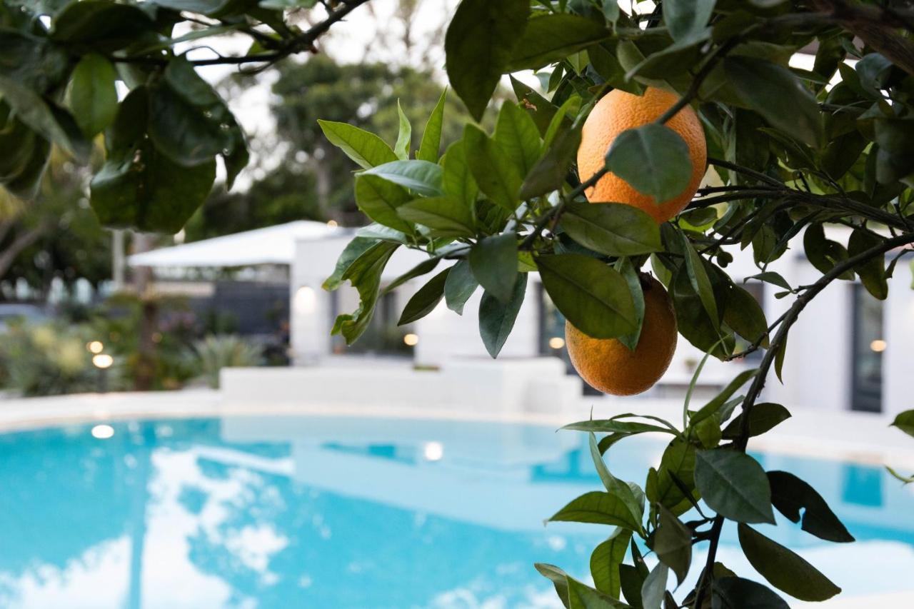 Villa Masetta - Luxury Suites Palermo Buitenkant foto